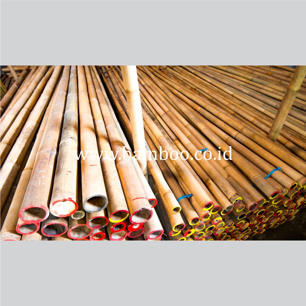 Bamboo Poles for Construction and Home Decor - Image 3