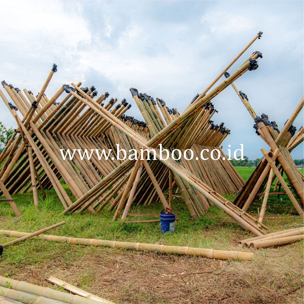 Natural Bamboo Poles / Bamboo Pole - Home Decoration - Image 2