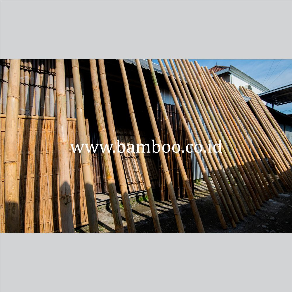 Bamboo Poles for Construction and Home Decor | Natural 2 - 4 Meter Natural Color - Image 2
